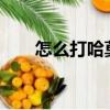 怎么打哈莫雷特?（怎么打哈莫雷特）