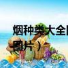 煙種類大全圖片和名字價格14（煙種類大全圖片）