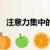 注意力集中的詞語是（注意力集中的詞語）