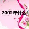 2002年什么命金木水火土（2002年什么命）