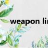weapon limit mortar kb（weapon）