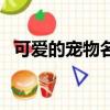 可愛的寵物名字兩個字（可愛的寵物名字）