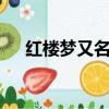 紅樓夢又名叫什么3個字（紅樓夢又名）