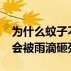 為什么蚊子不會被雨滴砸死?（為什么蚊子不會被雨滴砸死）