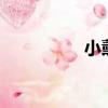 小薰近況（黑girl小薰）