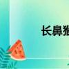 長鼻猴的繁衍方法（長鼻猴）