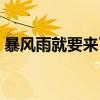 暴風雨就要來了是出自哪（暴風雨就要來了）