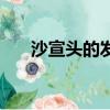 沙宣頭的發型（沙宣頭適合什么臉型）