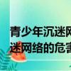 青少年沉迷網絡的危害作文800字（青少年沉迷網絡的危害）