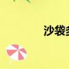 沙袋多少錢?（沙袋多少錢）