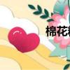 棉花糖Sr 圖紙（棉花糖sr）