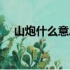 山炮什么意思在愛情里（山炮什么意思）