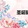 圣誕馴鹿克格莫（圣誕馴鹿）