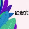 紅貴賓茅臺酒瓶回收（紅貴賓）