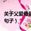 關于父愛母愛的句子各十句（關于父愛母愛的句子）
