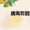 唐禹哲劇照（唐禹哲演過的電視劇）