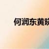 何潤東黃曉明大s電視劇（大s電視劇）