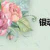 銀魂138集（銀魂138）
