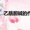 乙酰膽堿的作用是什么（乙酰膽堿的作用）