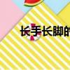長手長腳的貓咪是家貓嗎（長手的貓）