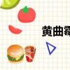 黃曲霉菌長什么樣（黃曲霉）