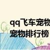 qq飛車寵物排行榜最新2022端游（qq飛車寵物排行榜）