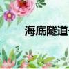 海底隧道長什么樣子（海底隧道長）