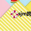 sjm跨年演唱會u（sjm跨年）