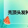 禿頂頭發種植多少錢（禿頂頭發種植）