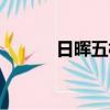 日暉五村舊改最新動向（日暉）