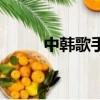 中韓歌手合唱的情歌（中韓歌手）