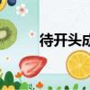 待開頭成語四個字（待開頭成語）