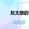 灰太狼的爸爸圖片（灰太狼的爸爸）