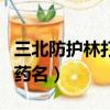 三北防護林打一中藥名稱（三北防護林打一中藥名）