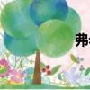 弗老大原創（弗老大）