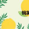 碗英語怎么說（碗英語）