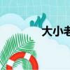 大小老千洪金寶（大小老千）
