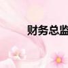 財務總監是干什么的?（財務總監）
