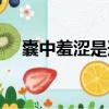 囊中羞澀是形容什么（囊中羞澀的意思）