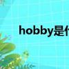 hobby是什么意思（hop是什么意思）