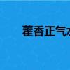 藿香正氣水可以預防中暑嗎?（藿香）