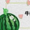 牛蛇能長多大（牛蛇）