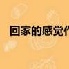 回家的感覺作文400字（回家的感覺作文）