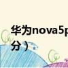華為nova5pro屏幕尺寸（華為nova5pro跑分）