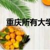 重慶所有大學錄取分數線（重慶所有大學）