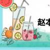 趙本山小品專輯（趙本）