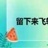 留下來飛輪海時間（留下來 飛輪海）