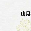 山月莓是樹莓嗎（山月莓）