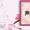 聲組詞四字（聲組詞）