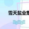 雪天鹽業集團股份有限公司（雪天鹽）